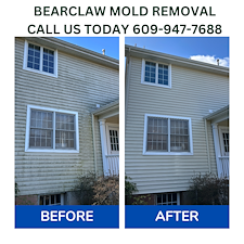 Restoring-Curb-Appeal-Expert-Mold-Removal-and-Power-Washing-in-Pennington-NJ 0